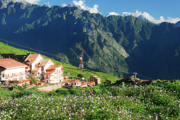 Cliff Top Club, Auli 