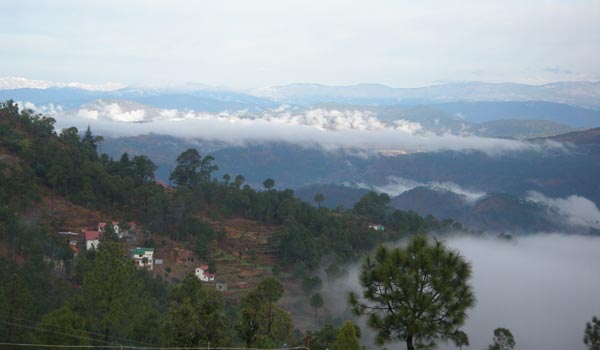 Vimoksha Resorts, Ranikhet 